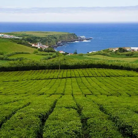 Island Haven - Cantinho Da Ilha