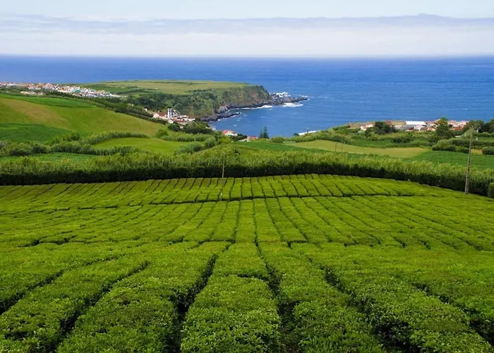 Island Haven - Cantinho Da Ilha